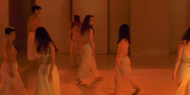 COREO 12 PLANOS CORTOS